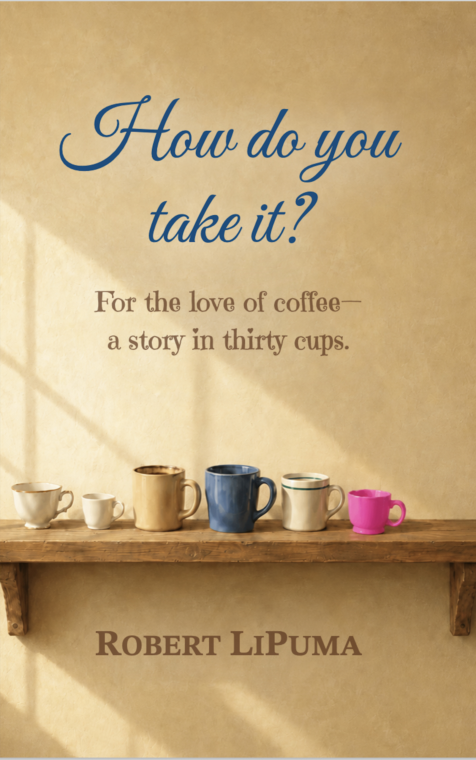 How do you take it? by Robert LiPuma — book cover
